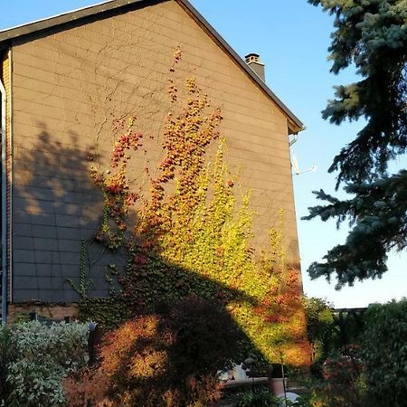 Ursula'S Ferienwohnung Marpingen Dış mekan fotoğraf